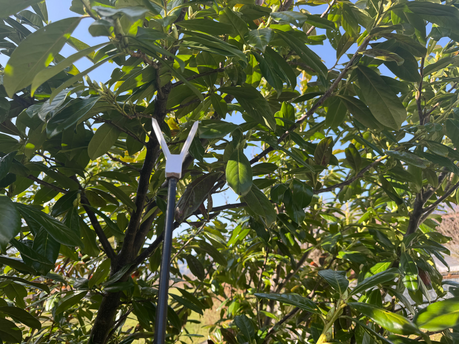 Geocaching: Angelhaken Y - Berge-/Verstecktool für Biltemacaches Foto 4